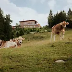 Chalet G12 - Mountain Luxury Seefeld in Tirol