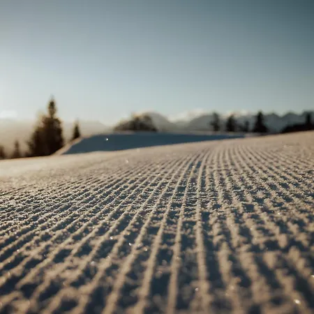 G12 - Mountain Luxury 제펠드 인 티롤